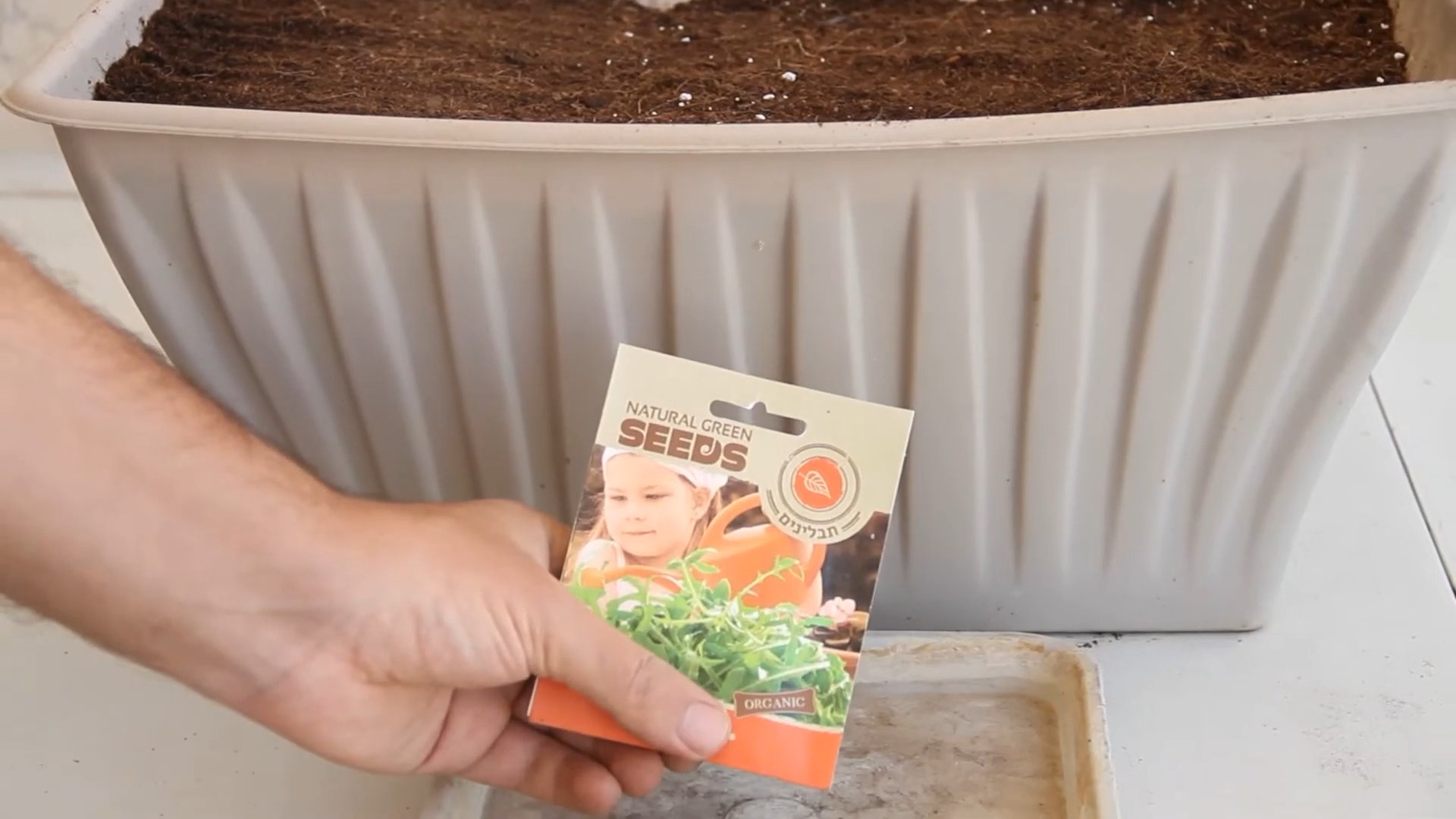 Grow Arugula Fast Kitchen Trick