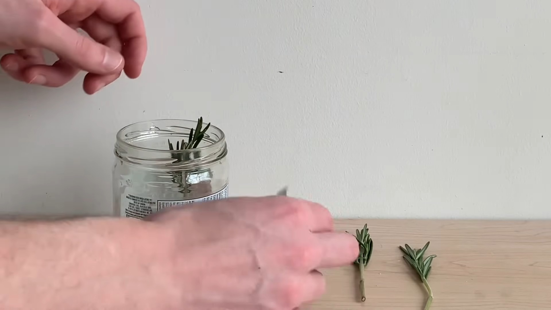 Growing Rosemary Indoors Soil Free
